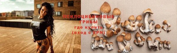 меф Алзамай