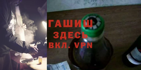 хмурый Алексин