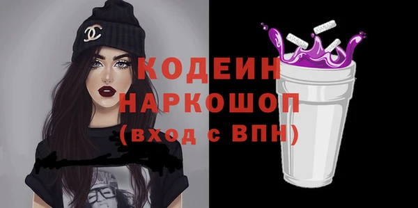 хмурый Алексин