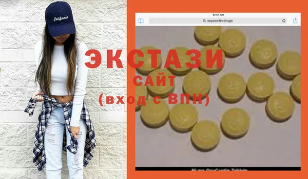хмурый Алексин